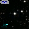 TYC 1313-60-1