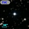 TYC 1313-245-1