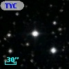 TYC 1313-282-1
