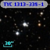 TYC 1313-338-1