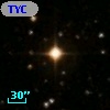TYC 1313-341-1