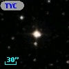TYC 1313-489-1