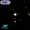 TYC 1313-550-1