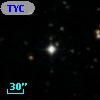 TYC 1313-555-1