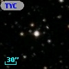 TYC 1313-560-1