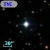 TYC 1313-811-1