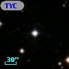 TYC 1313-833-1