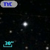 TYC 1313-838-1