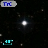 TYC 1313-919-1