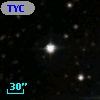 TYC 1313-959-1