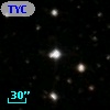 TYC 1313-1009-1
