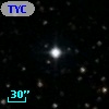 TYC 1313-1038-1