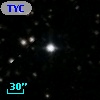 TYC 1313-1163-1