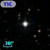 TYC 1313-1174-1