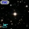 TYC 1313-1196-1