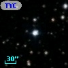 TYC 1313-1259-1