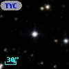 TYC 1313-1273-1