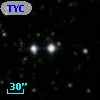 TYC 1313-1277-1