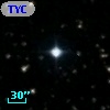 TYC 1313-1292-1