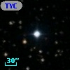 TYC 1313-1474-1