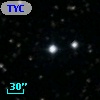 TYC 1313-1510-1