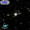 TYC 1313-1684-1