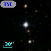 TYC 1313-1689-1
