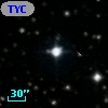 TYC 1313-1724-1