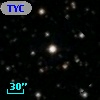 TYC 1313-1732-1