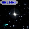HD  15604