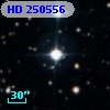 HD 250556