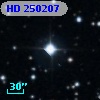 HD 250207