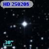 HD 250208