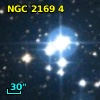 BD+13  1124D