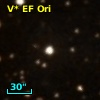 V* EF Ori