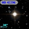 HD  42296