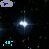V* V559 Per