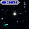 HD 250695