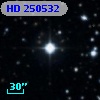 HD 250532