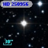 HD 250956