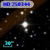HD 250344