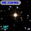 HD 250486