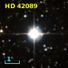 HD  42089