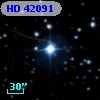 HD  42091