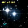 HD  42181