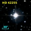 HD  42255