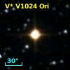 V* V1024 Ori