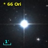 *  66 Ori