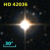 HD  42036