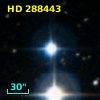 HD 288443